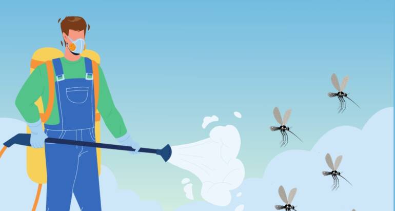 مكافحة الباعوض بفعالية: دور شركة الابداع لمكافحة الحشرات