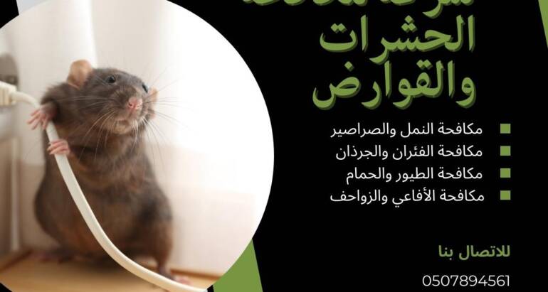التحديات والحلول: مكافحة الفئران في الإمارات