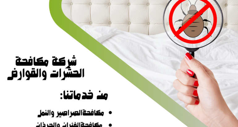 بق الفراش: التحديات وسبل الوقاية