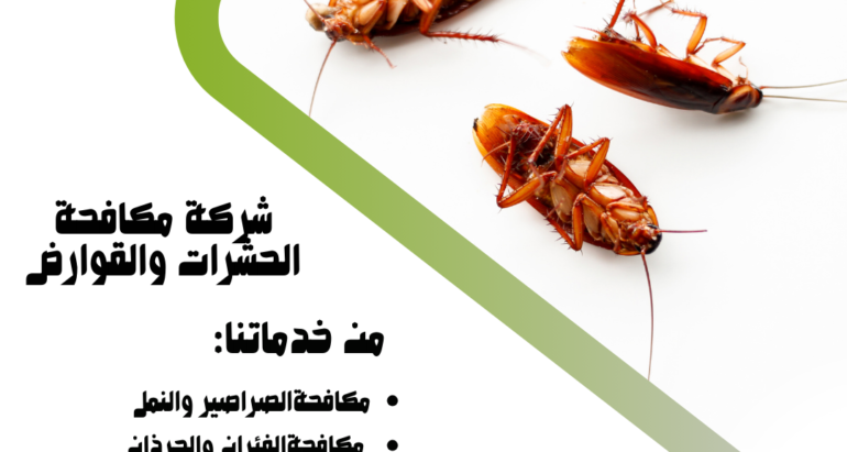  الصراصير: تكوينها، البيئات المحببة، وتأثيراتها الصحية