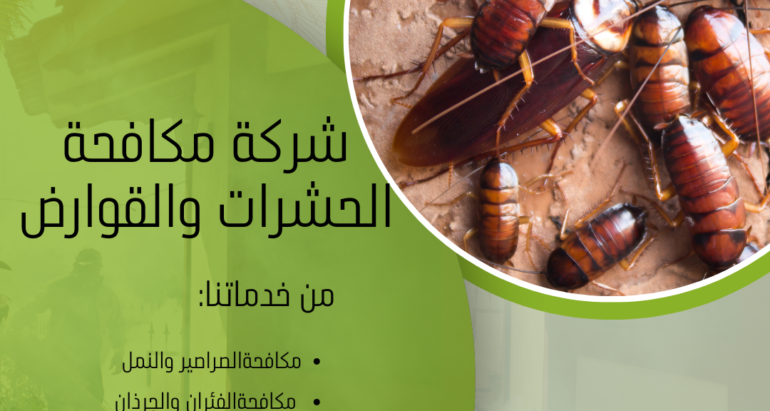 التخلص الدائم والفعّال من الحشرات المنزلية: دليل شامل