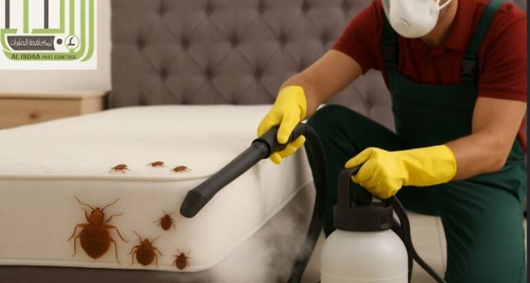 رش بق الفراش في أبوظبي