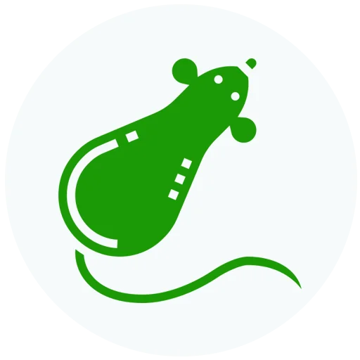 شركة مكافحة الفئران في ابوظبي