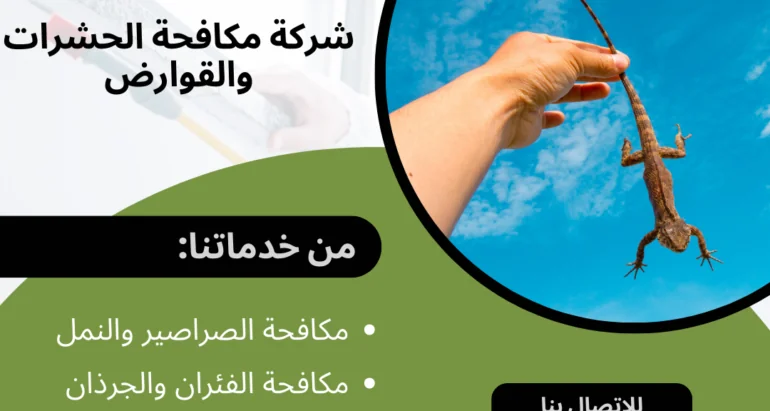 مكافحة السحالي والزواحف في المنازل: نصائح وإرشادات