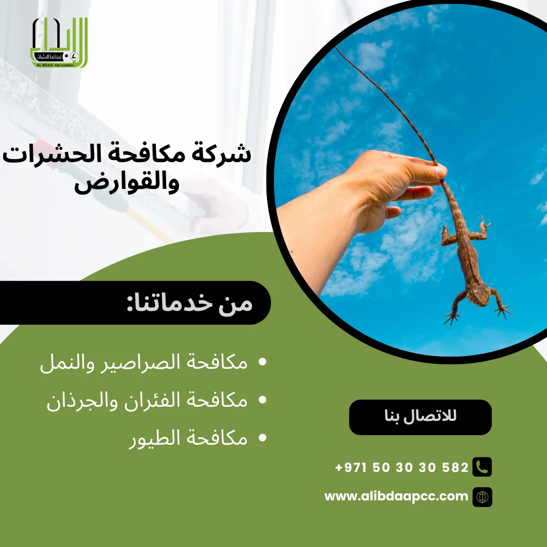 مكافحة السحالي والزواحف في المنازل: نصائح وإرشادات