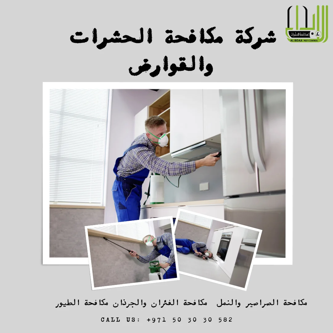 أهمية شركات مكافحة الحشرات ودورها في مكافحة النمل الأبيض