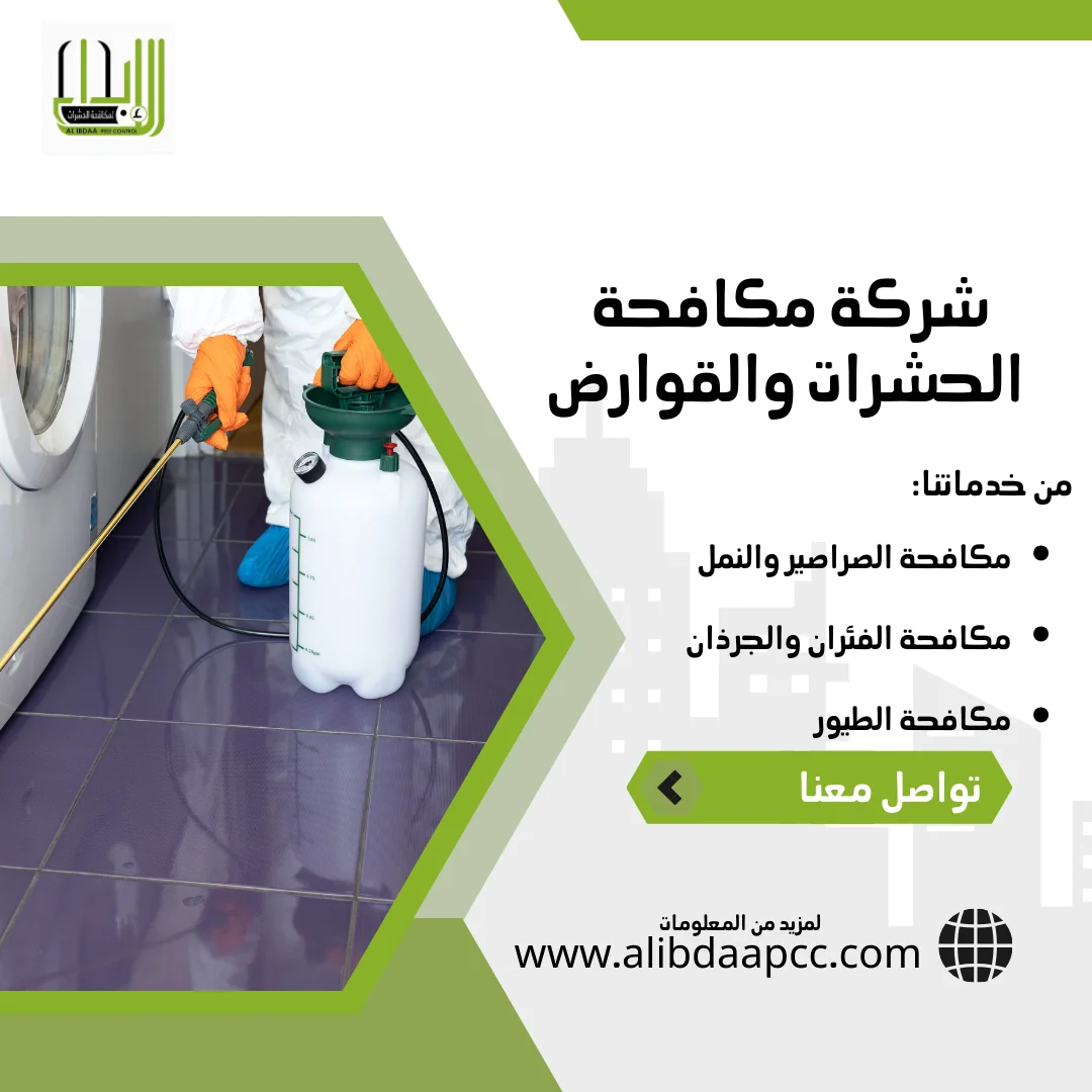 أنواع النمل وأسباب ظهوره وطرق مكافحته في الإمارات العربية المتحدة