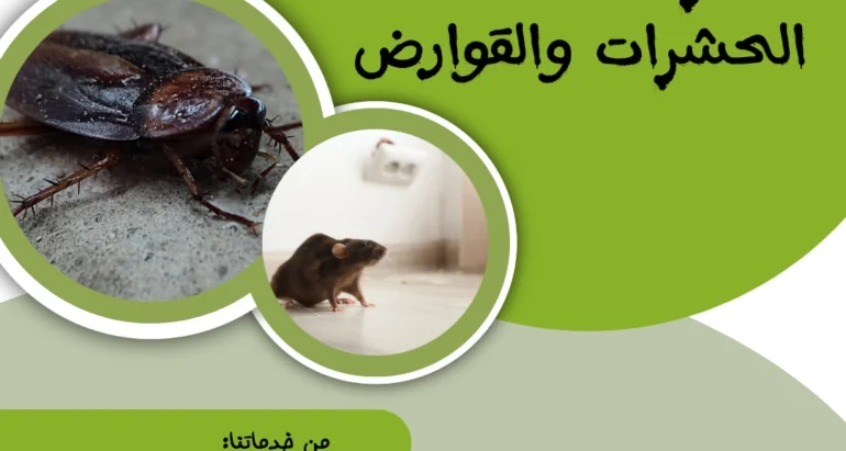 مكافحة الحشرات الصحراوية: التحديات وفاعلية شركات مكافحة الحشرات