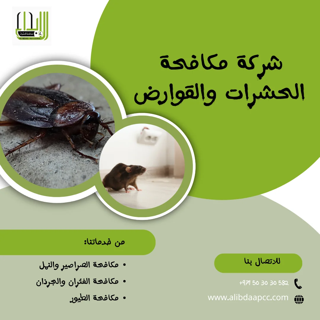 مكافحة الحشرات الصحراوية: التحديات وفاعلية شركات مكافحة الحشرات