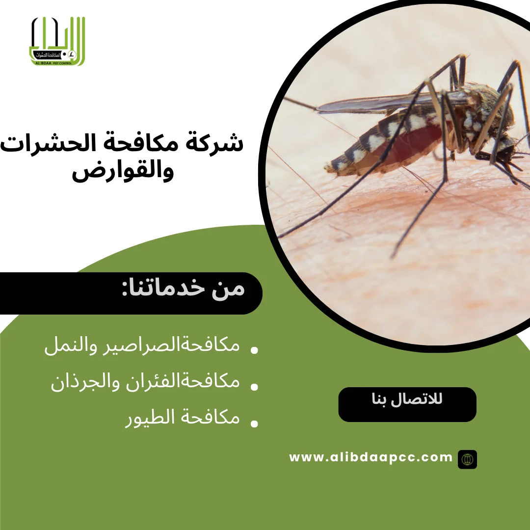 البعوض في الإمارات العربية المتحدة: أسباب الظهور وطرق مكافحته