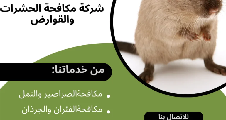 مكافحة الفئران: استراتيجيات فعّالة وأسباب ظهورها