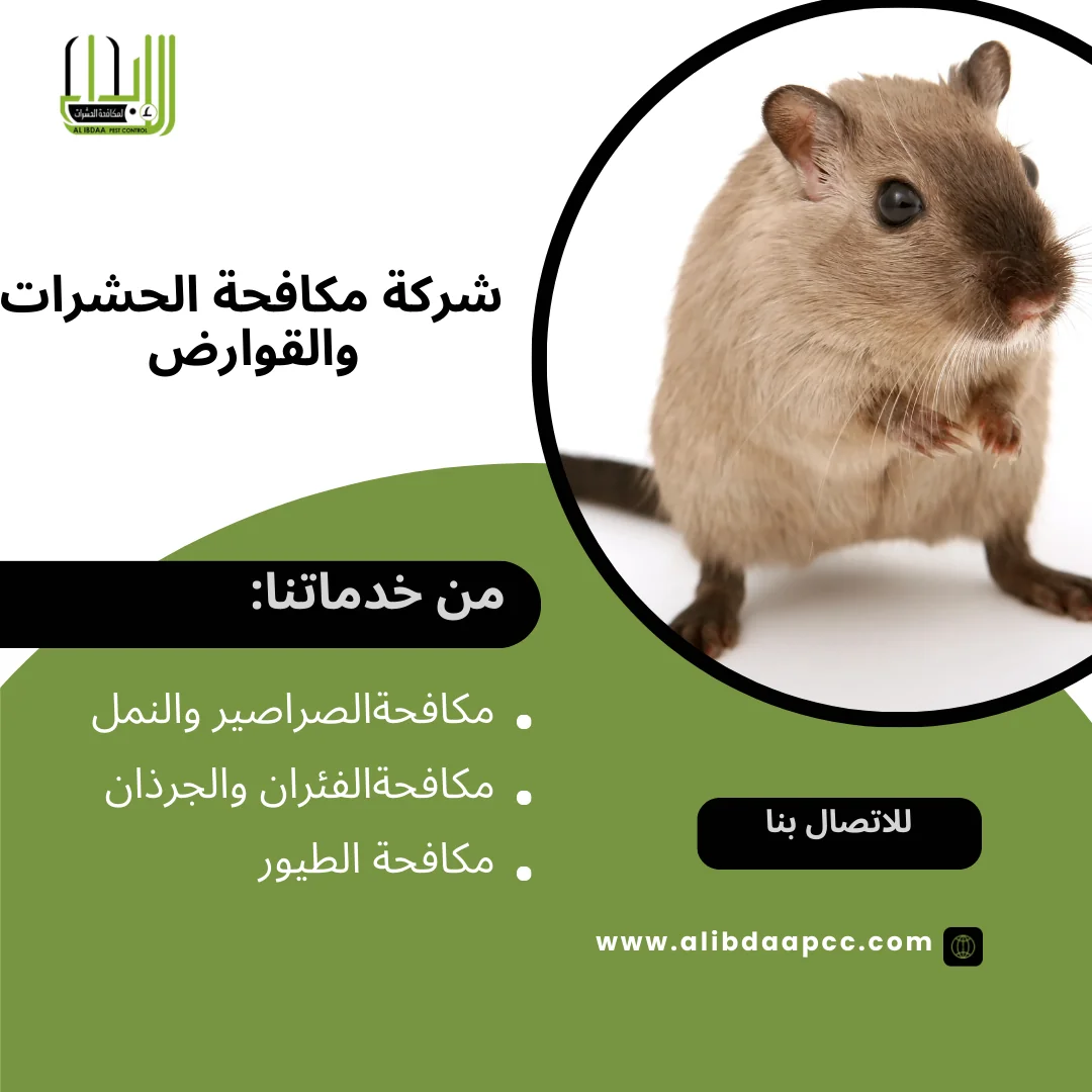 مكافحة الفئران: استراتيجيات فعّالة وأسباب ظهورها