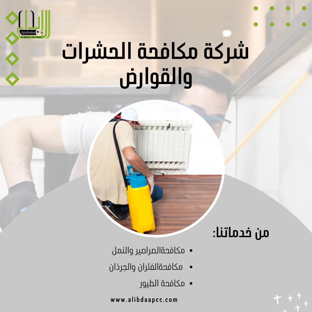 بق الفراش: التهديد المخفي في أماكن النوم