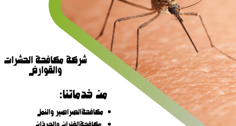 البعوض في الإمارات العربية المتحدة: أسباب انتشاره، طرق مكافحته، وتأثيره على الصحة العامة