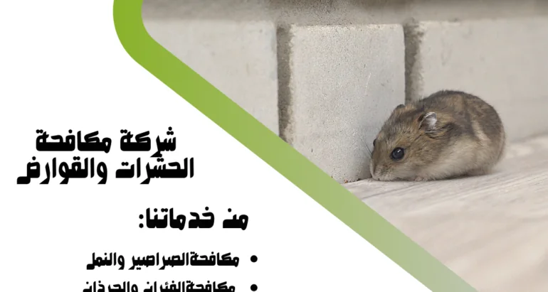 مكافحة الفئران: طرق فعّالة واستراتيجيات مبتكرة