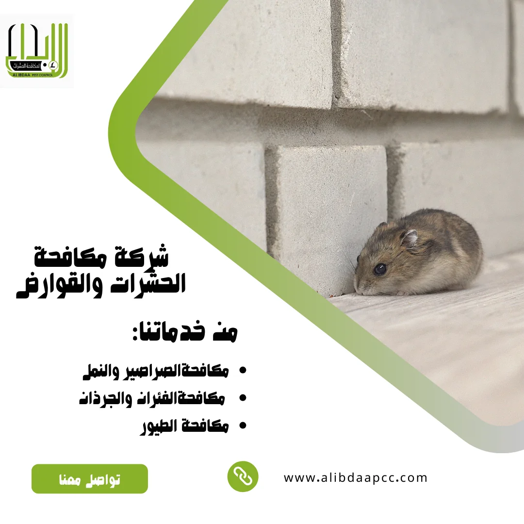 مكافحة الفئران: طرق فعّالة واستراتيجيات مبتكرة