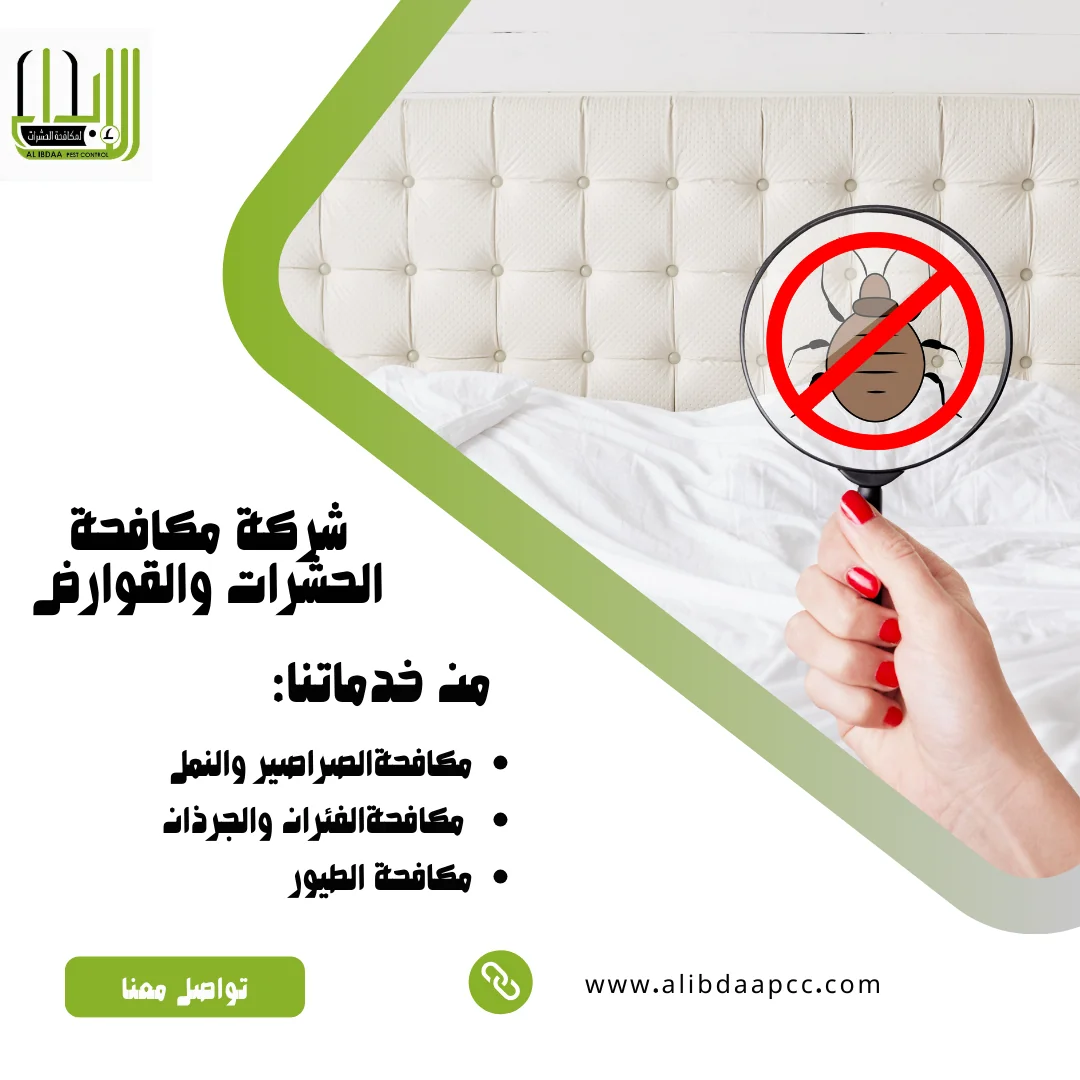 بق الفراش: التحديات وسبل الوقاية