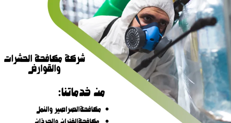 البق الفراش في الإمارات العربية المتحدة: تأثيره على الأثاث وأسباب انتشاره