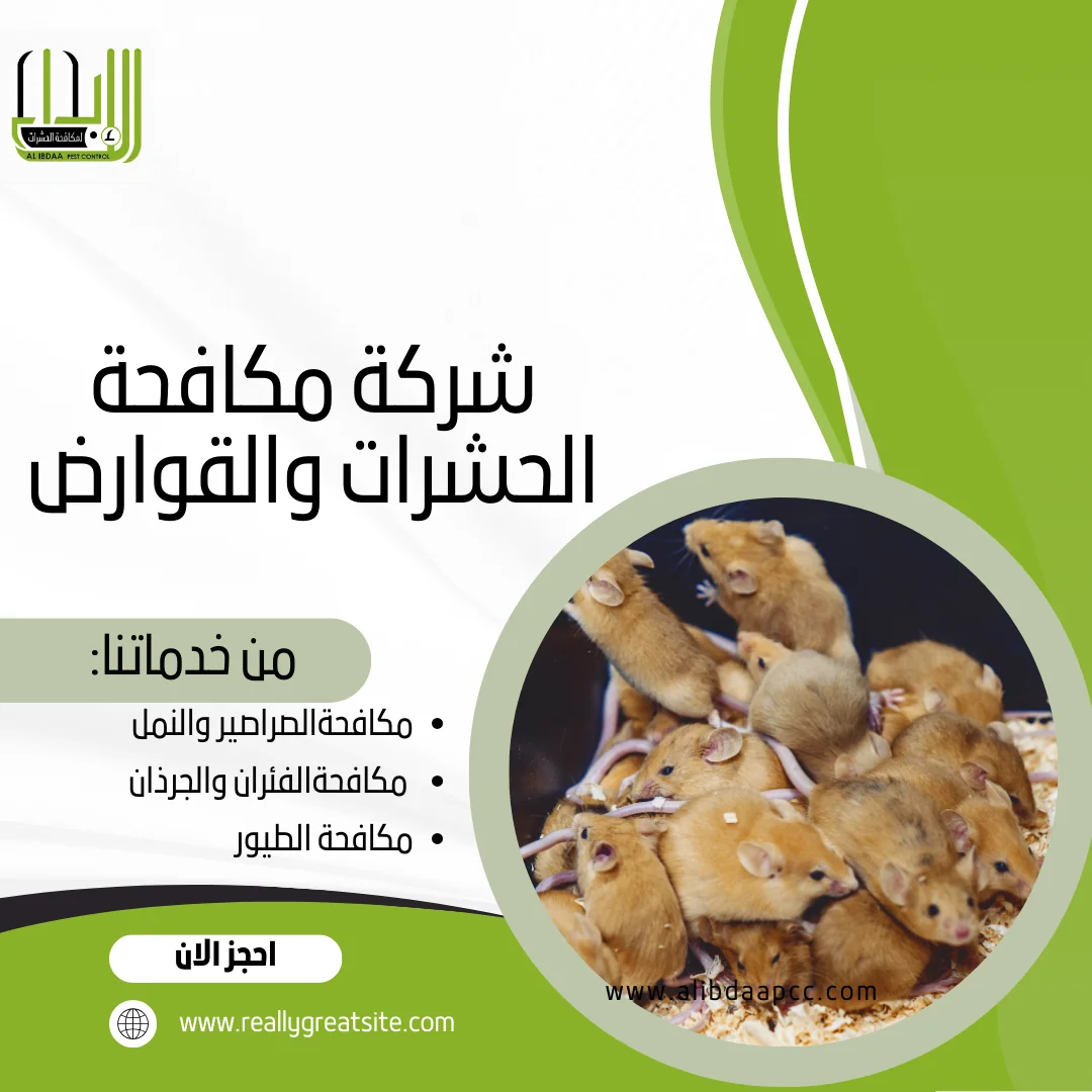 التصدي لتكاثر الفئران في المباني والأماكن العامة