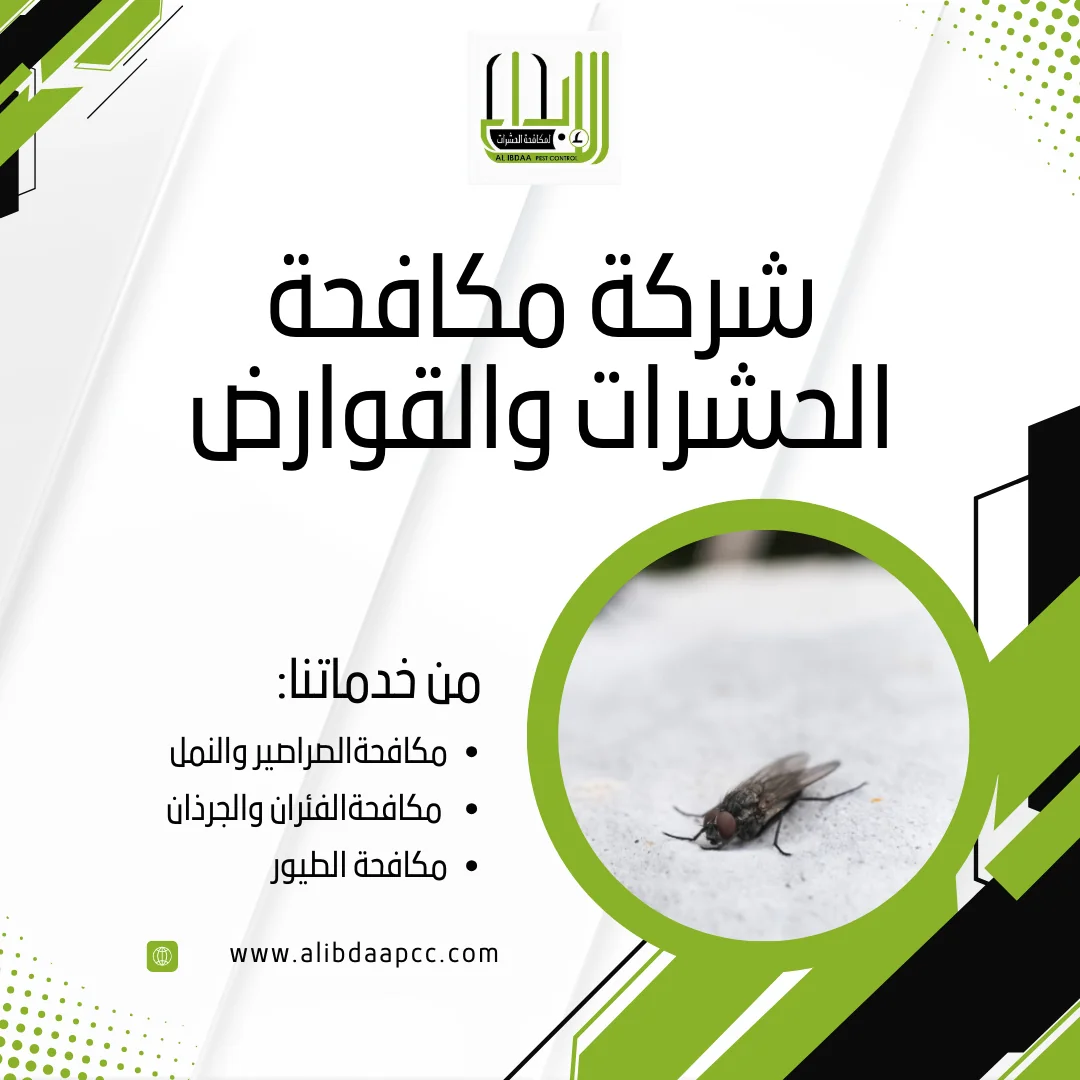 “كيفية مقاومة انتشار الذباب في المطاعم والمتاجر”