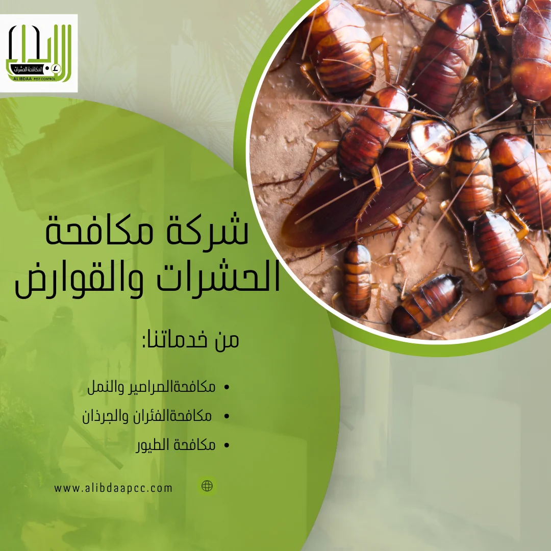 التخلص الدائم والفعّال من الحشرات المنزلية: دليل شامل