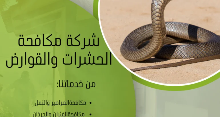 أسباب ظهور الحشرات في البلاعات والمجاري ودور شركات مكافحة الحشرات في القضاء عليها