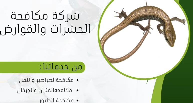 تحديد ومكافحة السحالي في المنازل والحدائق