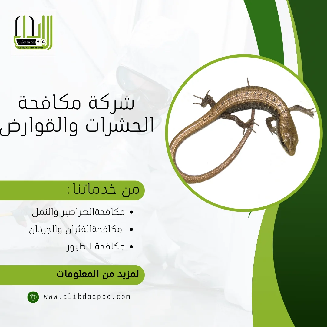 تحديد ومكافحة السحالي في المنازل والحدائق