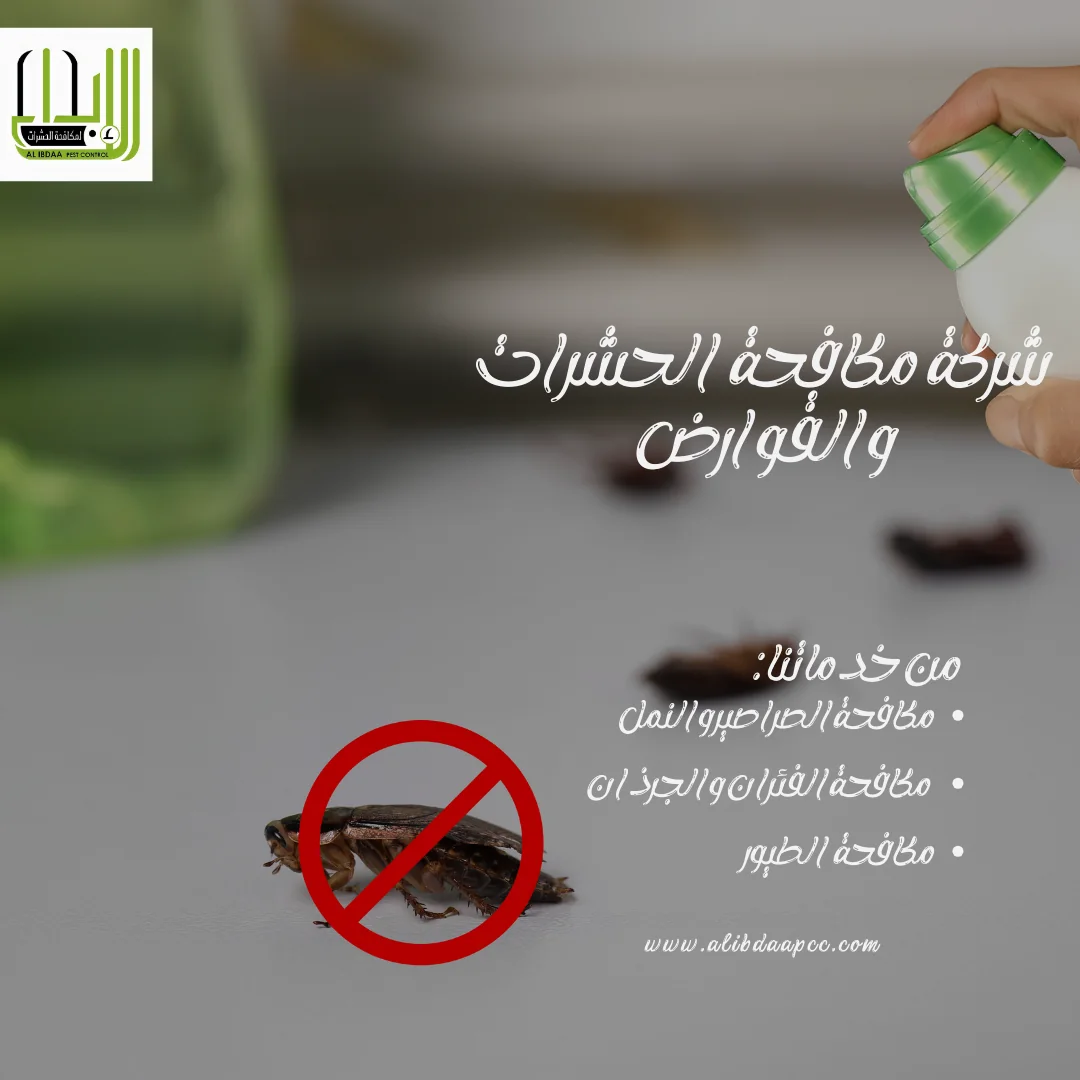 مكافحة انتشار الصراصير في المنازل الإماراتية بفعالية