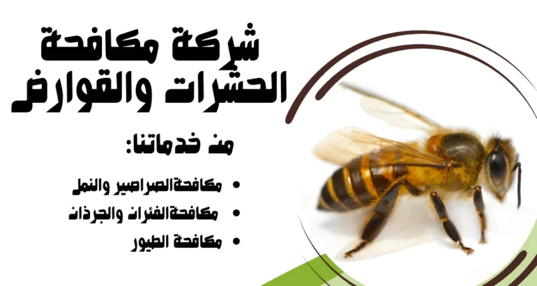 كيفية تجنب الإصابة بلدغات النحل في المنازل والحدائق