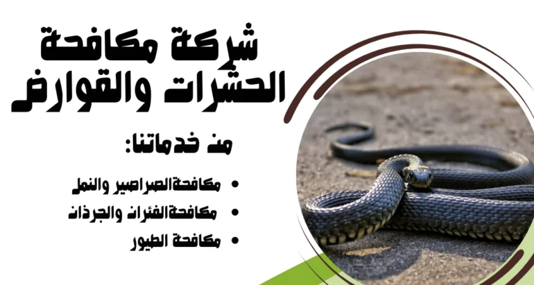 التعامل الفعّال مع الثعابين في المناطق الصحراوية