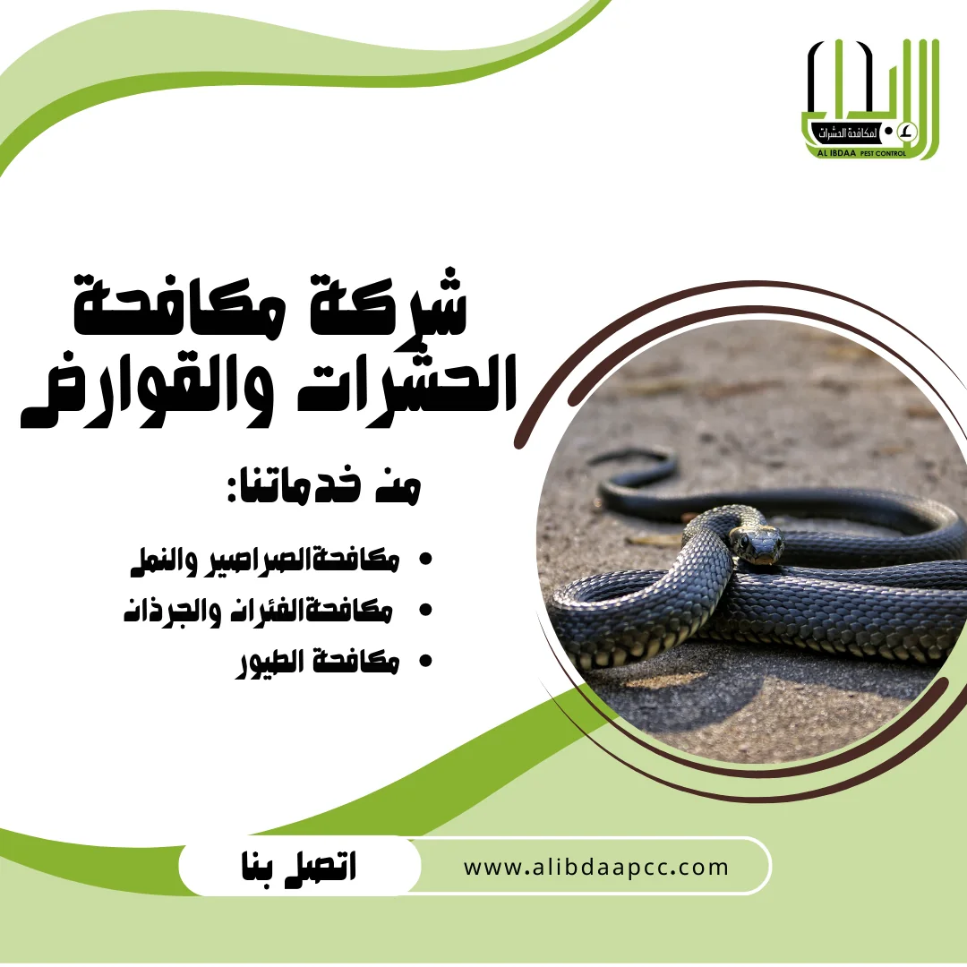 التعامل الفعّال مع الثعابين في المناطق الصحراوية