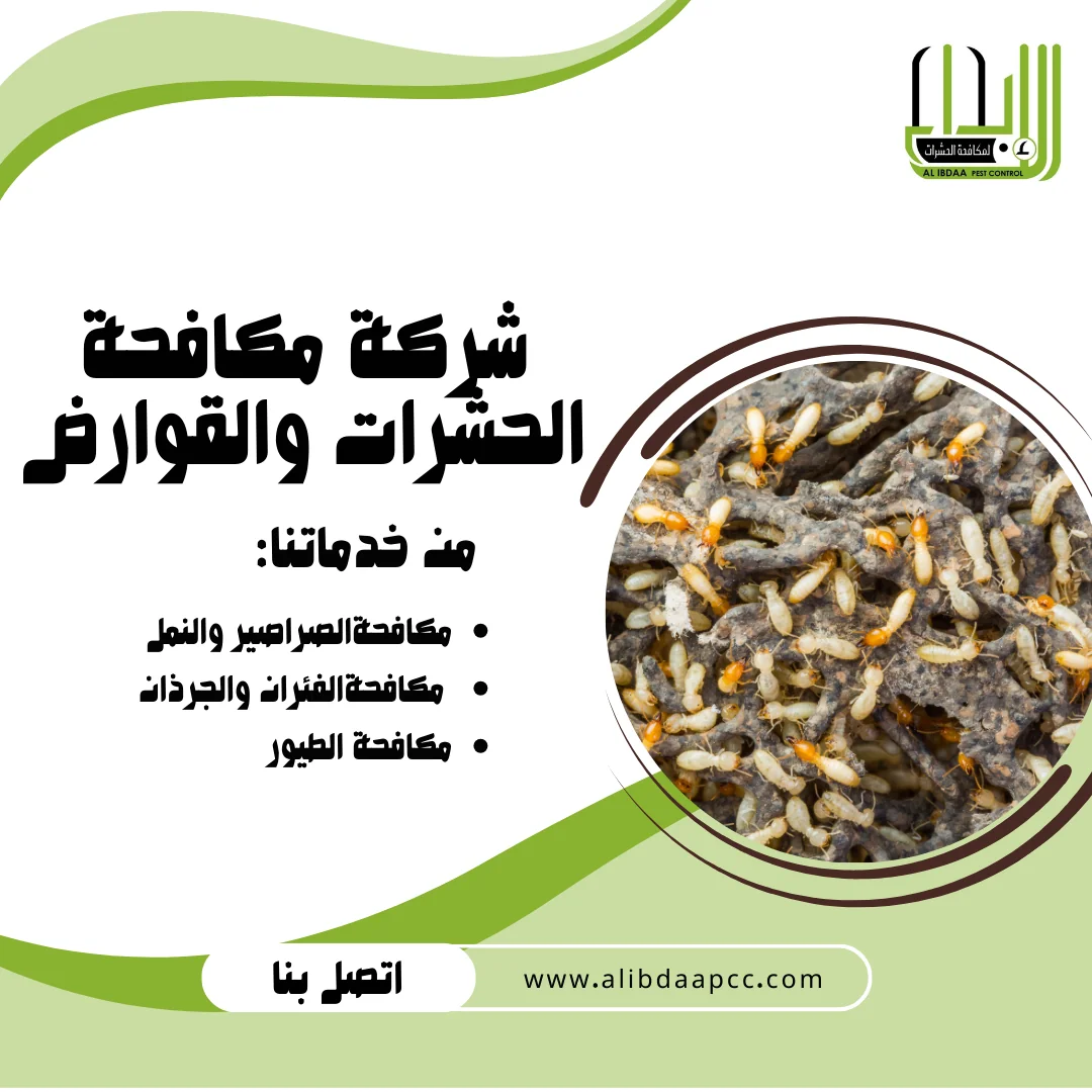 دور شركات مكافحة الحشرات في مكافحة النمل الأبيض الرمة
