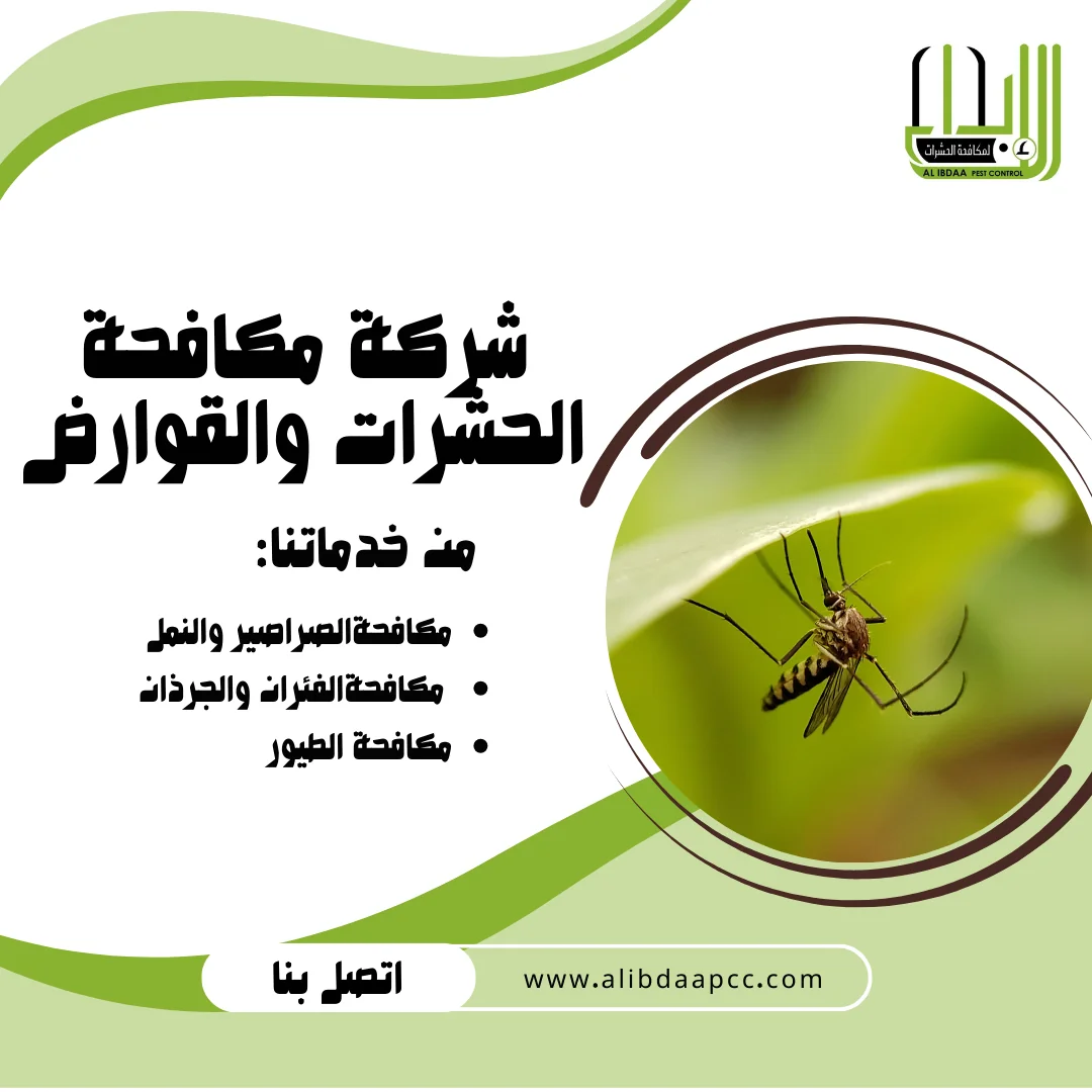  مكافحة البعوض ودور شركات مكافحة الحشرات في القضاء عليها