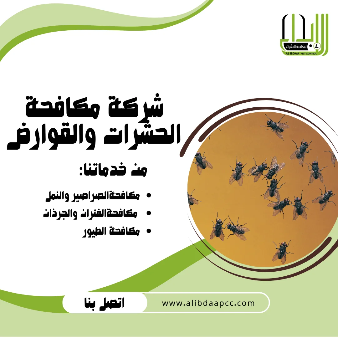 مكافحة الذباب ودور شركات مكافحة الحشرات