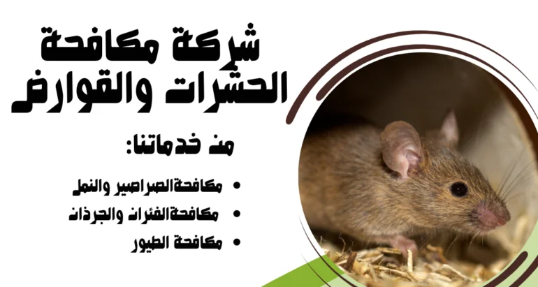 استراتيجيات فعّالة للتخلص من الفئران في الفلل والمنازل