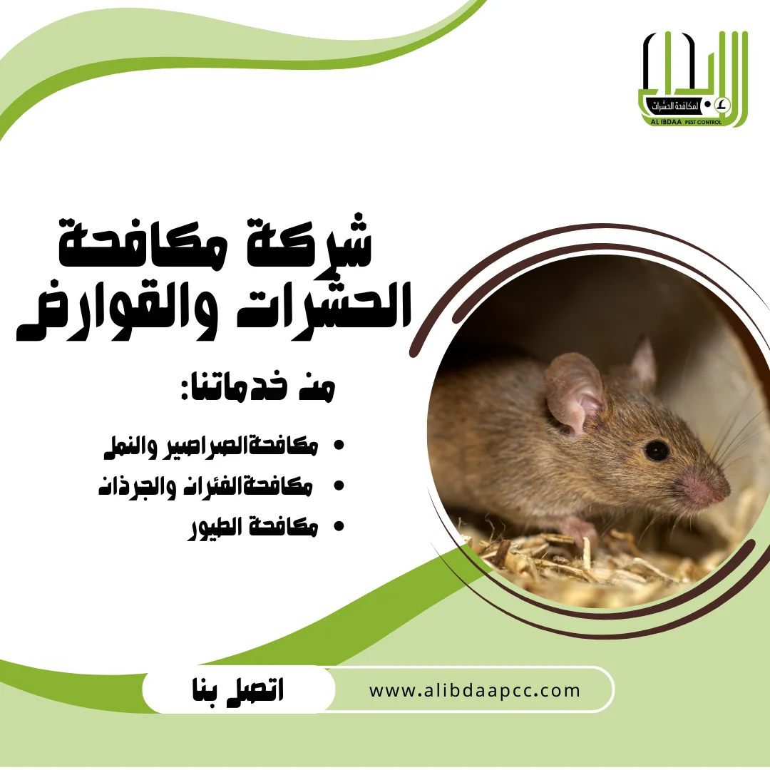 استراتيجيات فعّالة للتخلص من الفئران في الفلل والمنازل