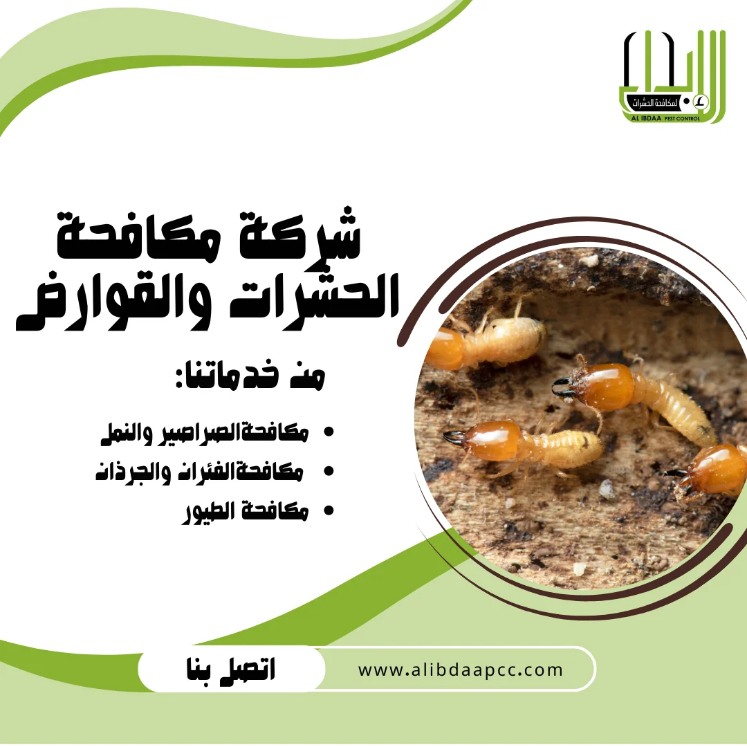 ظهور النمل الأبيض (الرمة): أسبابه ودور شركات مكافحة الحشرات في القضاء عليه