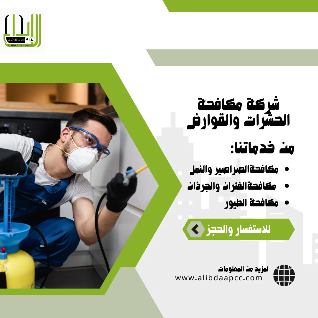 كيفية التعامل مع عناكب المنزل والتخلص من عشها بأمان
