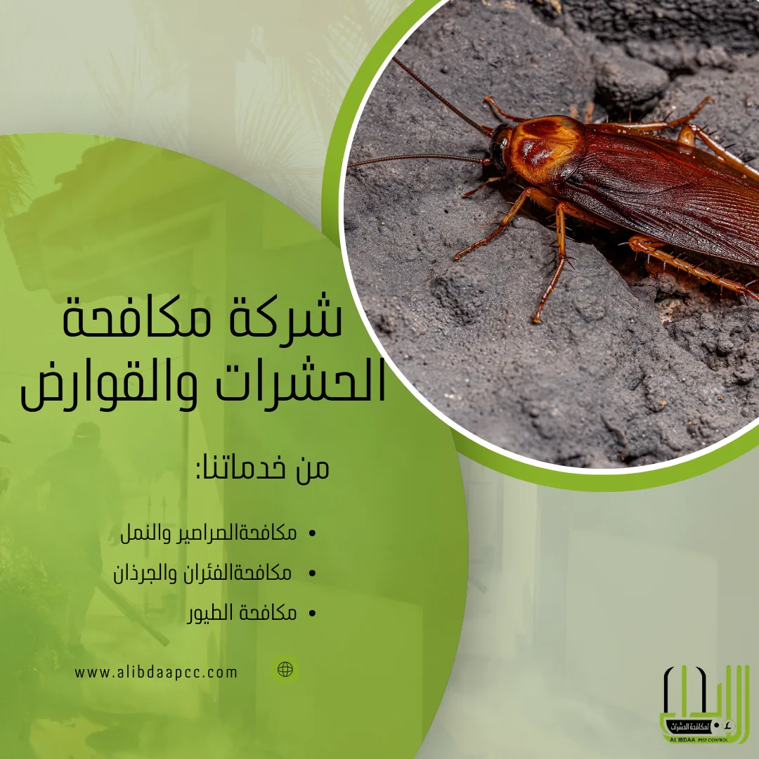 مكافحة الصراصير: الطرق ودور شركات مكافحة الحشرات