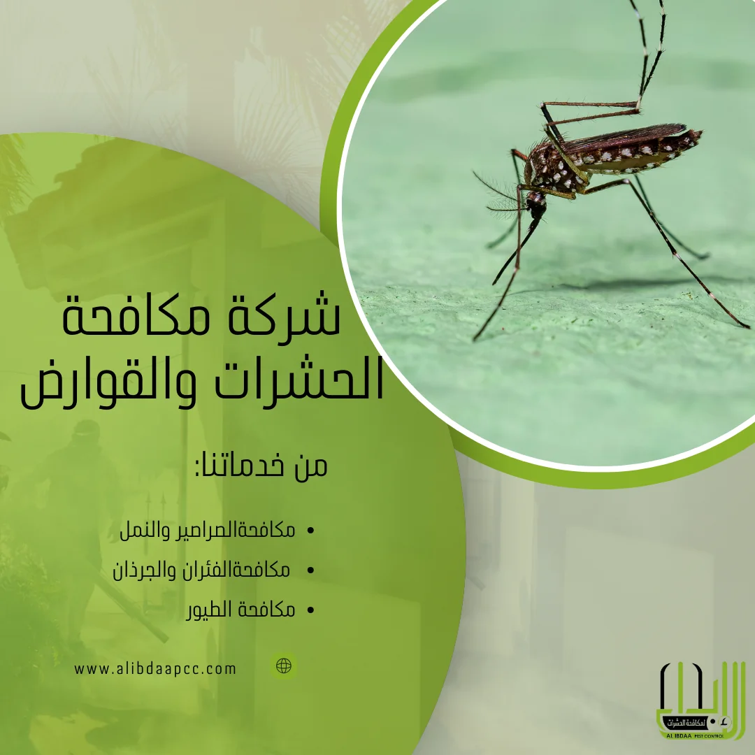 مكافحة البعوض: أفضل الطرق وأساليب الحماية