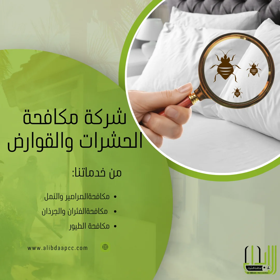 مكافحة الحشرات في أبوظبي: استراتيجيات فعّالة للتخلص من الآفات