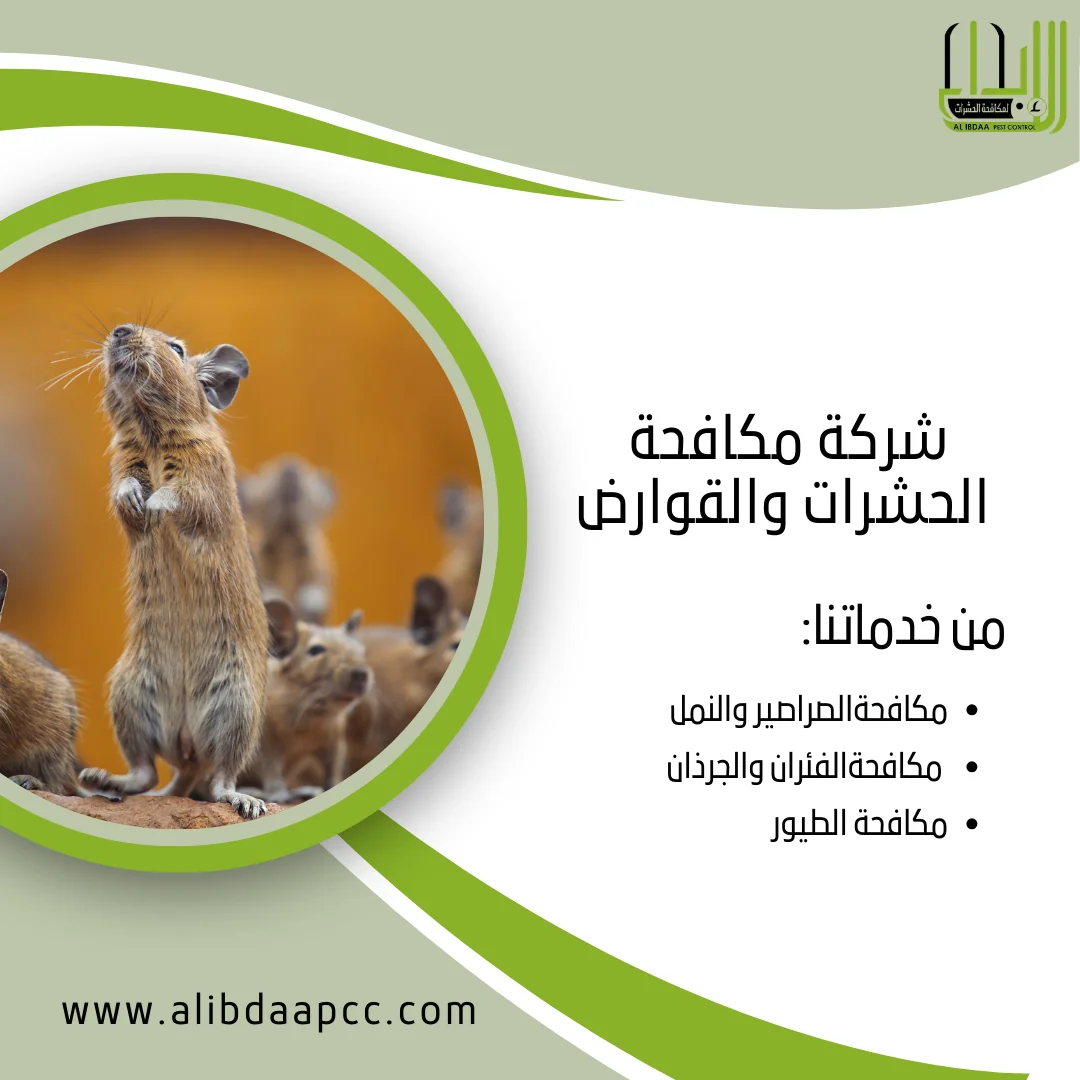استراتيجيات مكافحة الفئران في المناطق الصحراوية: دور شركات مكافحة الحشرات في الحفاظ على البيئة والصحة العامة