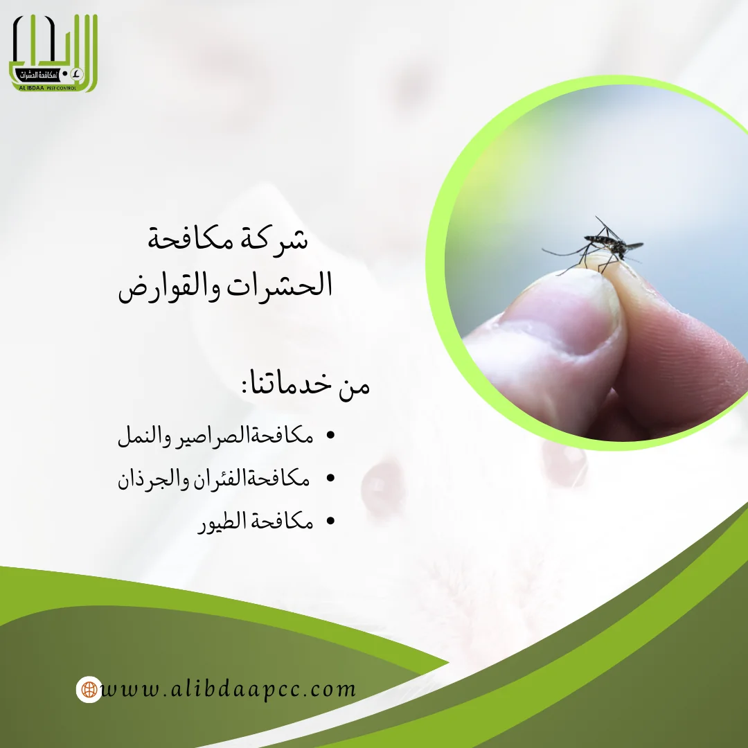 طرق فعّالة للقضاء على البعوض وحماية المنزل