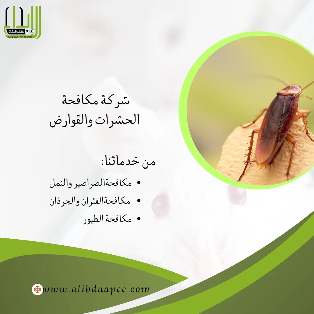 الحماية والقضاء على الصراصير: طرق فعّالة وشركات مكافحة الحشرات