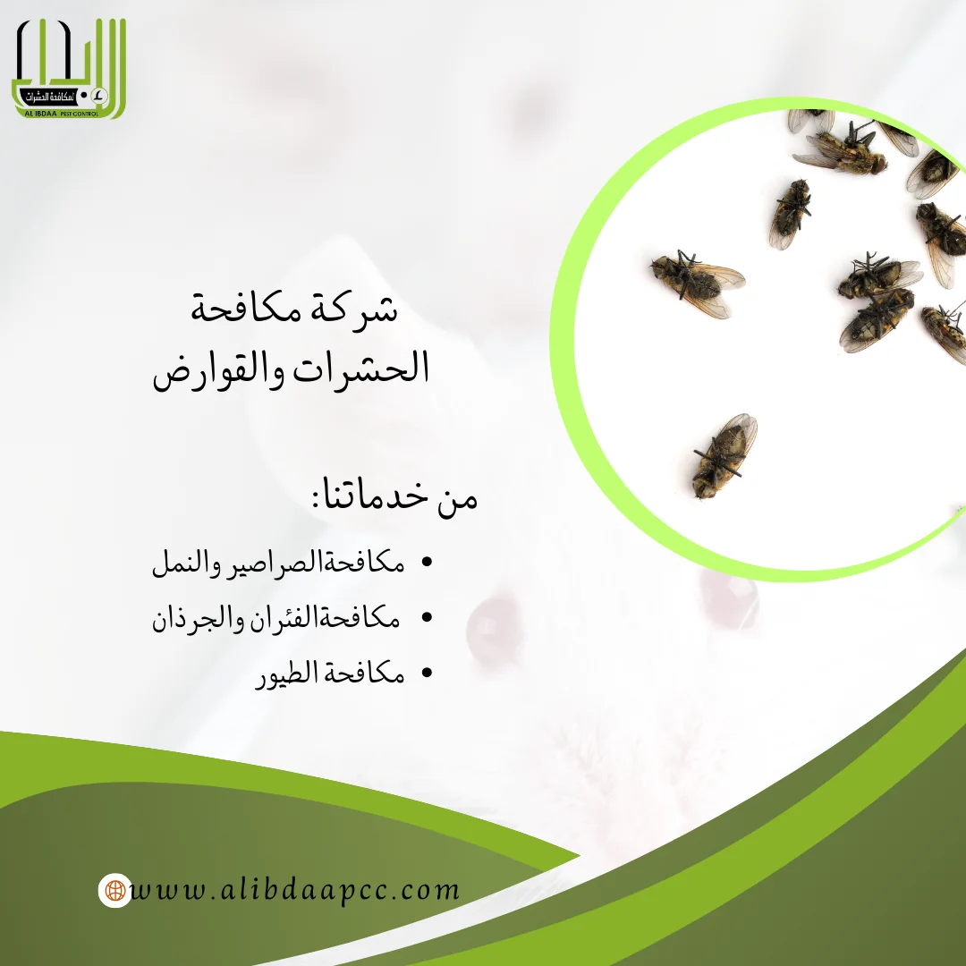 القضاء على الذباب والحماية منه وطرق شركات مكافحة الحشرات في ذلك