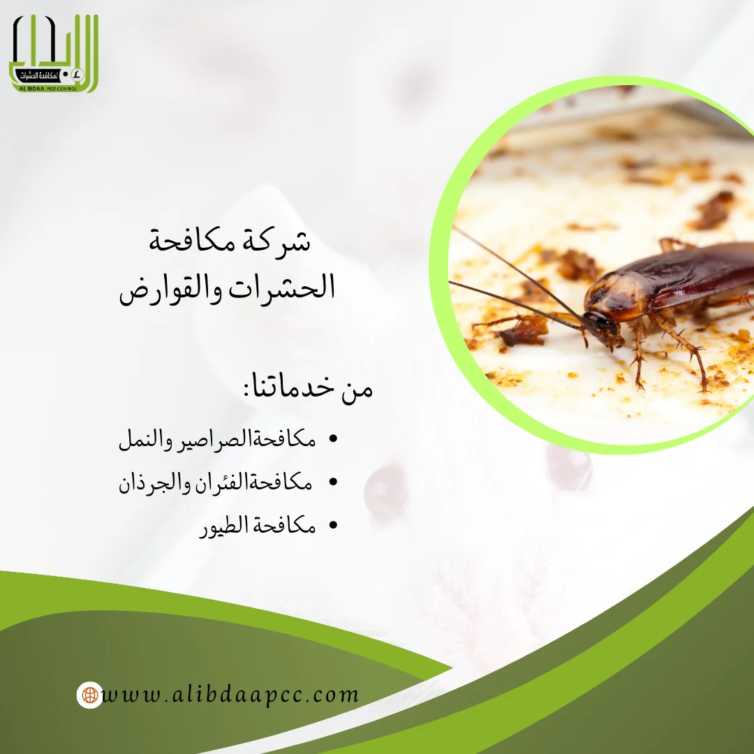 أثار الصراصير على الصحة العامة وطرق مكافحتها