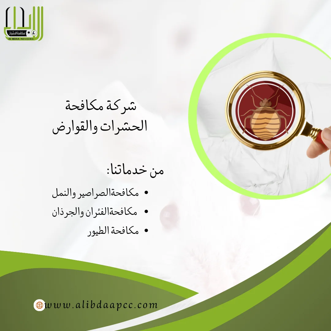بق الفراش: مخاطره على الصحة العامة ودور شركات مكافحة الحشرات في القضاء والحماية
