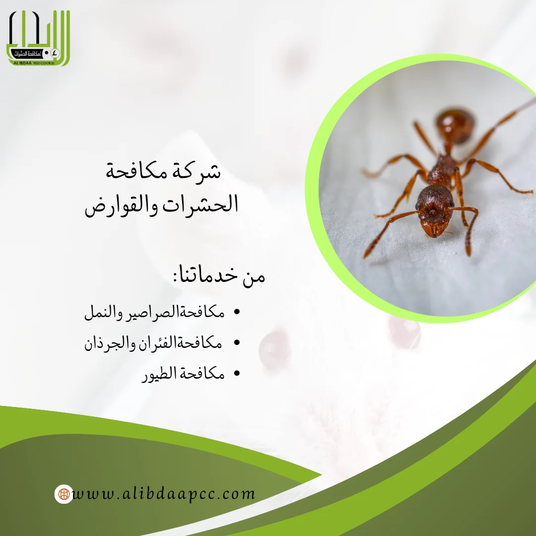 تأثير النمل على البيئة والطبيعة وسبل التحكم فيه