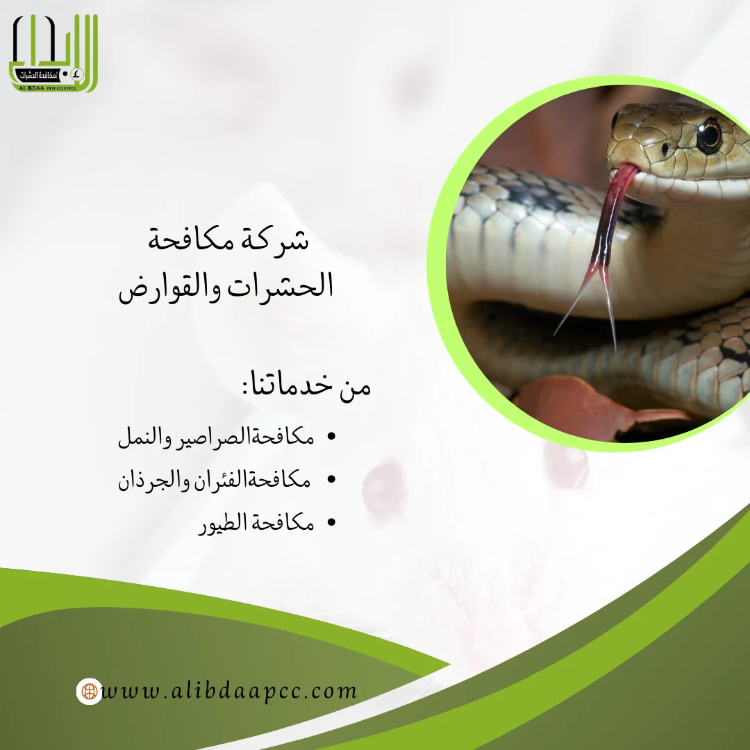 الوقاية من الأفعى في الأجواء الصحراوية ودور شركات مكافحة الحشرات في الحماية